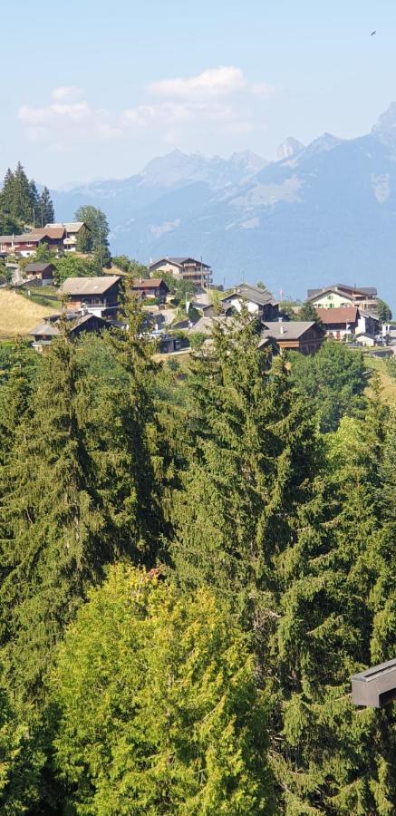 Residence « Les Cretes » Torgon Luaran gambar