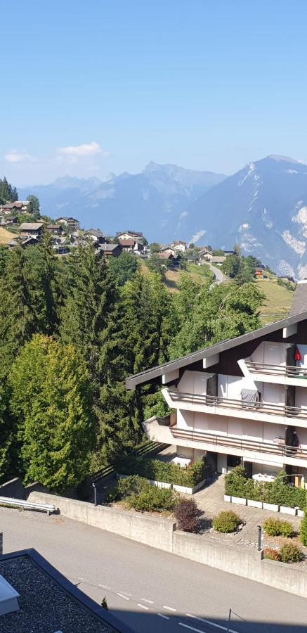 Residence « Les Cretes » Torgon Luaran gambar